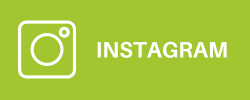 Instagram-Symbol auf grünem Hintergrund plus Text: Instagram
