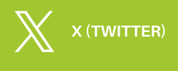 X/Twitter-Symbol auf grünem Hintergrund plus Text: X (Twitter)