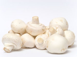 frische Champignons