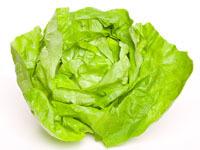 Kopfsalat