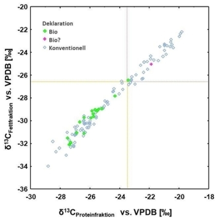 2D-Plot mit Darstellung der Kohlenstoffisotopenverhältnisse der Protein- und Fettfraktion untersuchter Milch-Proben