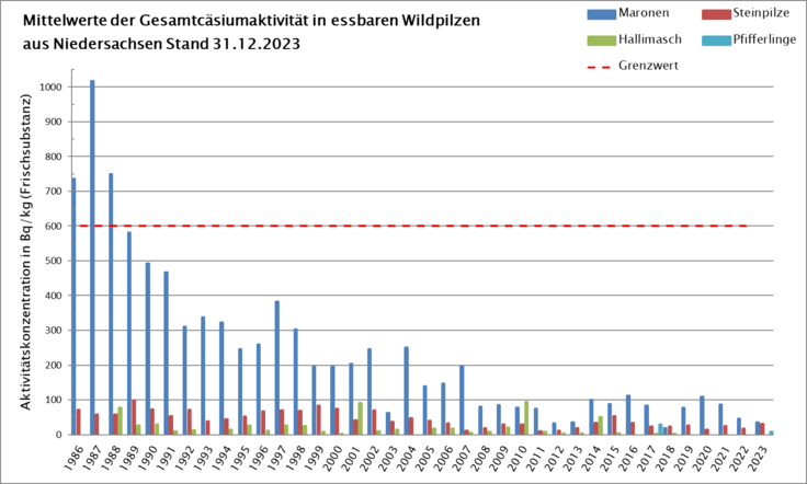 Mittelwerte der Gesamt-Cäsiumaktivität in essbaren Wildpilzen aus Niedersachsen 1986 bis 2023. Die heterogene Belastung in Niedersachsen führt bei niedriger Probenzahl zu starken Schwankungen der Einzelwerte gegenüber dem Vorjahr.