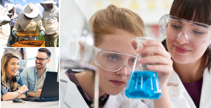 Junge Menschen in verschiedenen Ausbildungsberufen: oben links: Imker in Schutzkleidung an einem Bienenstock; unten links: beim Arbeiten in der Verwaltung an einem Laptop rechts: Arbeit im Labor als Biologie- oder Chemielaboranten