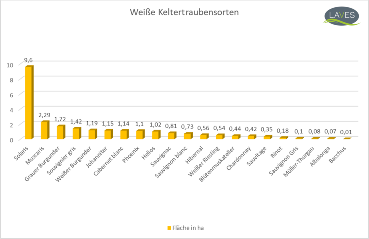 angepflanzte weiße Keltertraubensorten (Stand 05.01.2024)