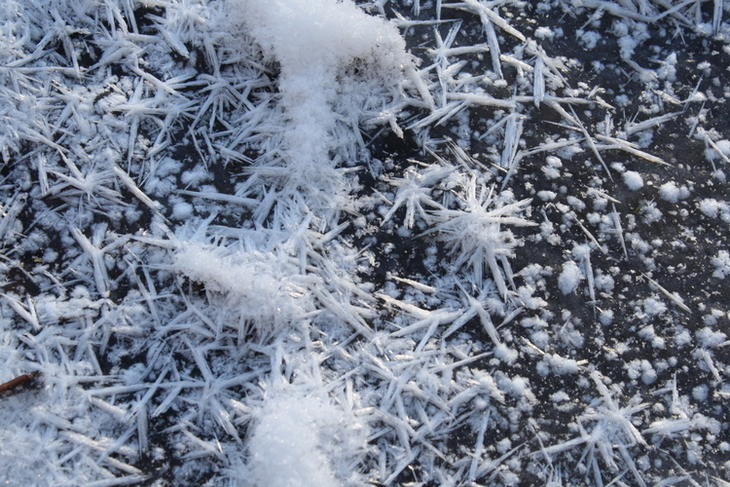 Frost, Eisblumen, Schnee