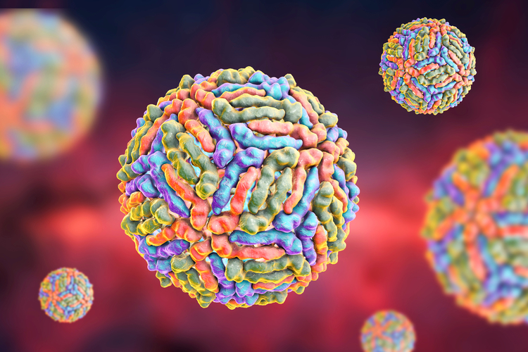 3D-Illustration eines West-Nil-Virus