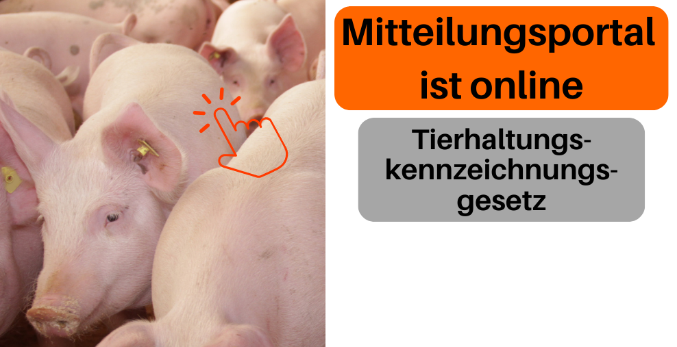Herzlich willkommen zur Mitteilung nach dem Tierhaltungskennzeichnungskennzeichnungsgesetz. Anmelden über Hi-Tier.