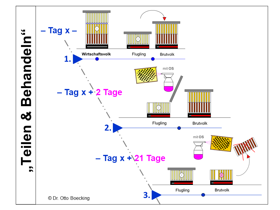 schematische Abbildung eines Behandlungskonzepts